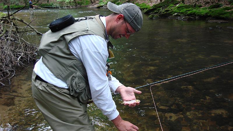Small Brookie.JPG